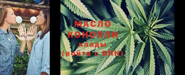 гашик Березники