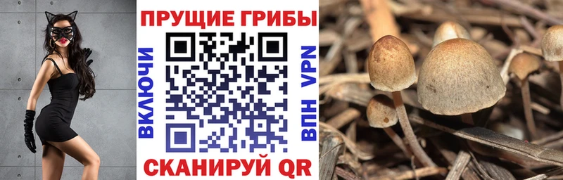 kraken ONION  Нефтекамск  Псилоцибиновые грибы MAGIC MUSHROOMS 