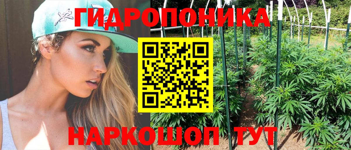 Канабис марихуана  Бошки Шишки VHQ  Вход с VPN  Нефтекамск  Шишки марихуана сатива 